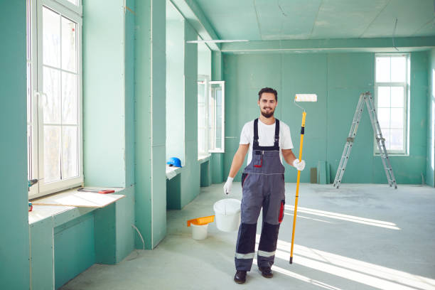 Mold Odor Removal Services in Olcott, NY