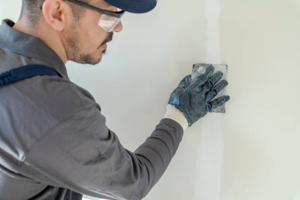 Professional Mold Removal in Olcott, NY
