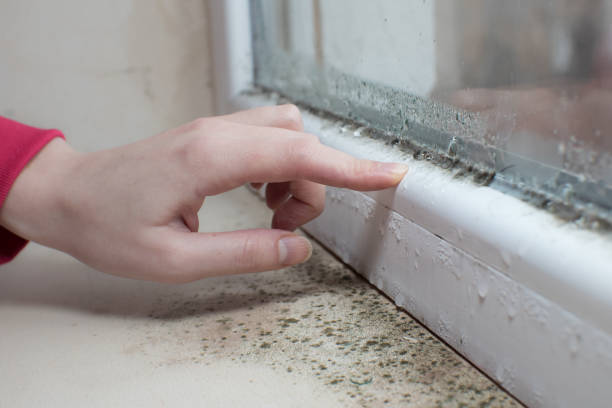 Best Post-Remediation Verification Testing  in Olcott, NY