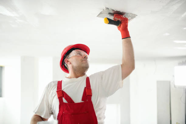 Best Basement Mold Removal  in Olcott, NY