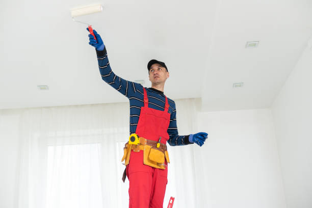 Best Mold Remediation for Healthcare Facilities  in Olcott, NY