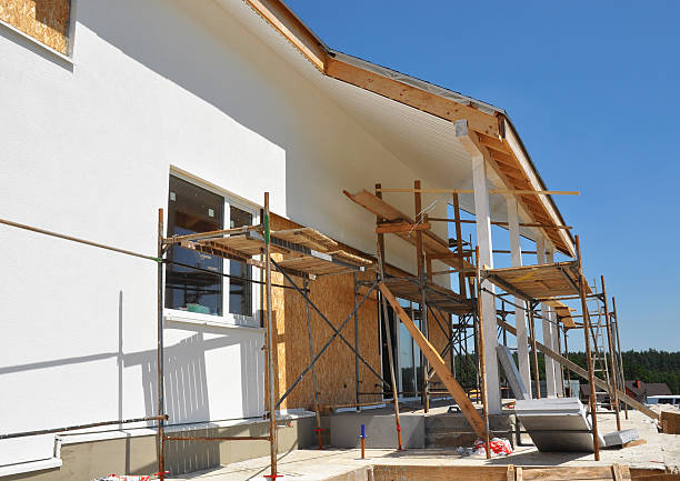 Best Commercial Mold Inspection  in Olcott, NY
